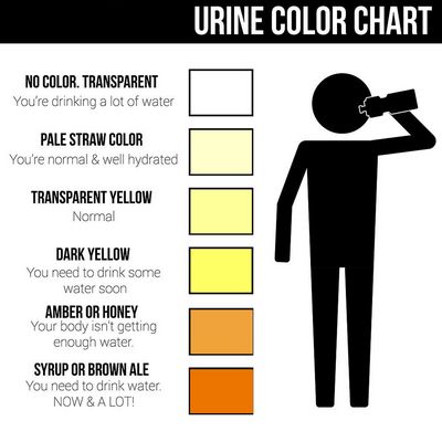How Do You Know Your Urine Color?