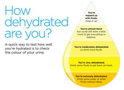 How Do You Know Your Urine Color?