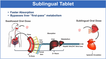 Sublingual Drug Absorption